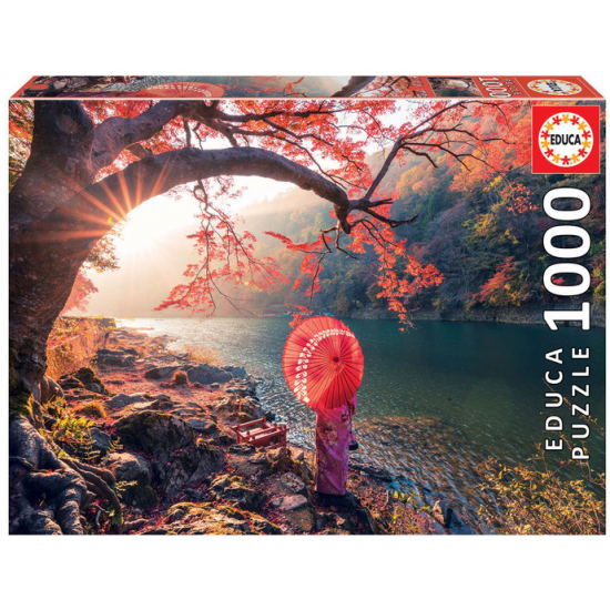 PUZZLE EDUCA 1000 PIEZAS...