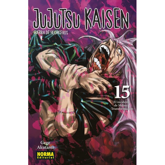 JUJUTSU KAISEN 15 GUERRA DE...