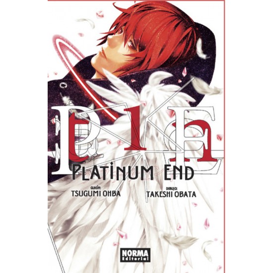 PLATINUM END 1