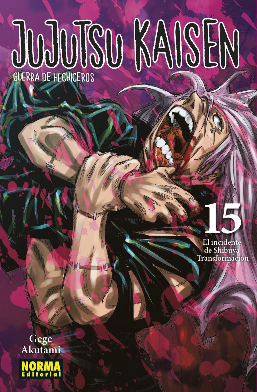 JUJUTSU KAISEN 15 GUERRA DE HECHICEROS