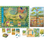 Cellulose Un juego de biología celular vegetal