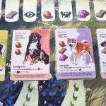 DOG PARK